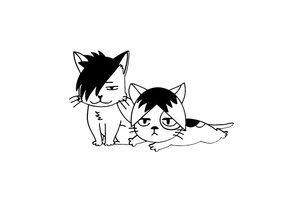 Friendly Feline Duo