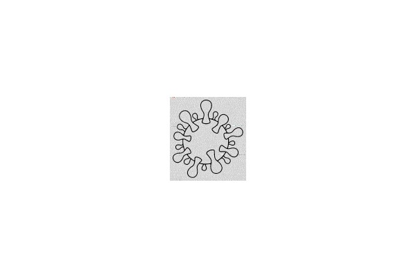 Virus Structure Illustration