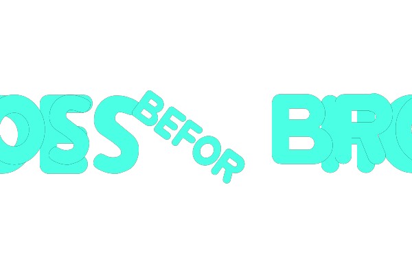 Bros Before Hoes