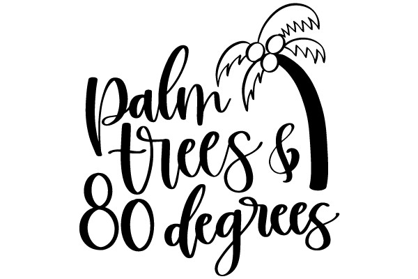 Palm Trees & 80 Degrees