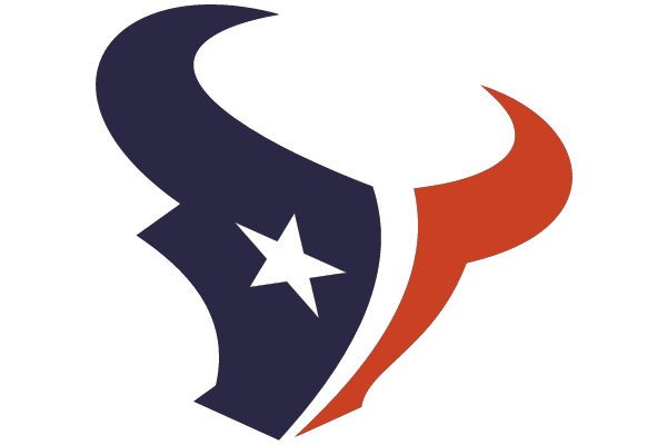 Houston Texans Logo
