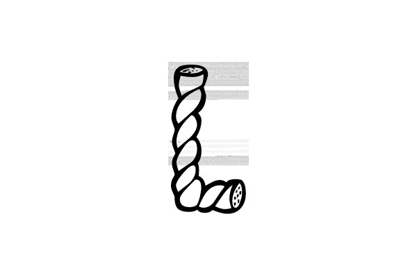 Twisted Doughnut