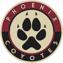 Phoenix Coyotes: A Symbol of Team Spirit and Pride