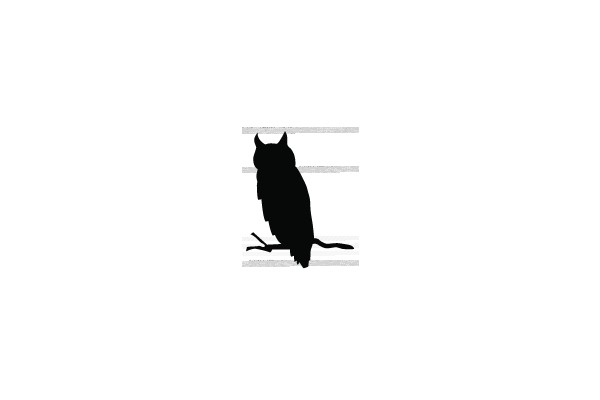 Owl Silhouette on Branch