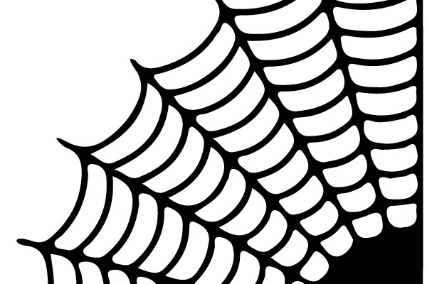Spider Web Pattern
