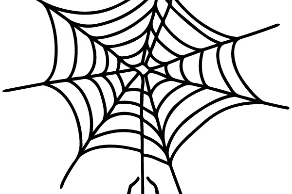 Spider and Web