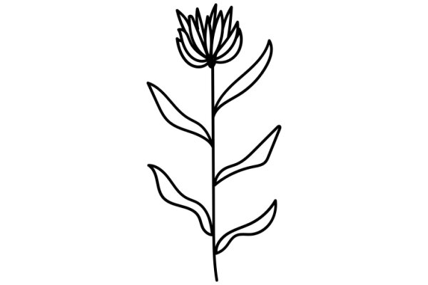 Simplistic Line Drawing of a Flower