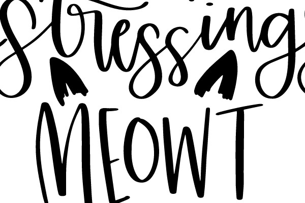 Stop Stressing Meow