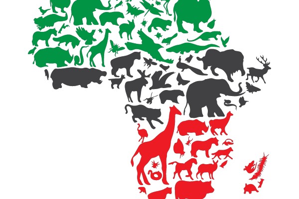 Silhouette Map of Africa with Various Animal Silhouettes
