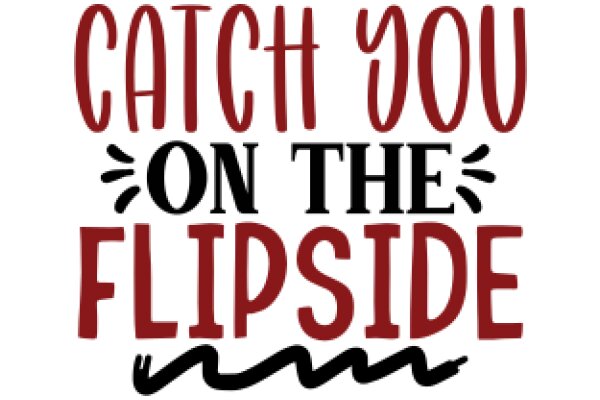Catch You on the Flipside: A Guide to Navigating Life's Ups and Downs
