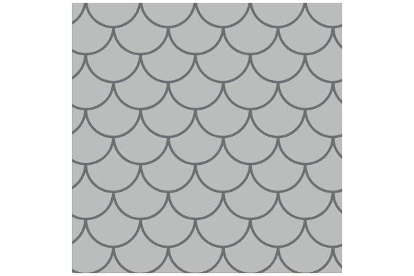 Pattern of Overlapping Scales