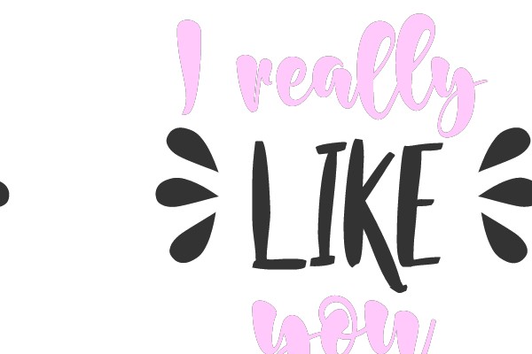 I really like you