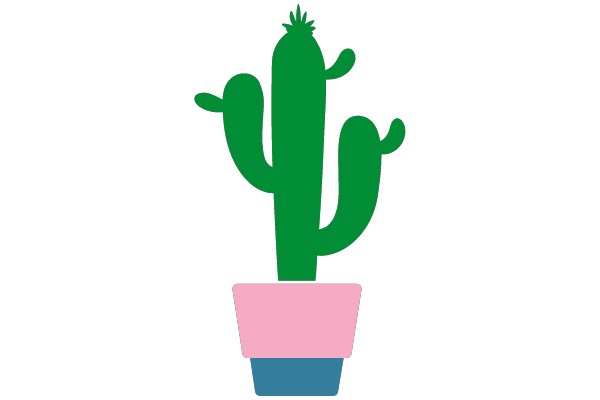 Cactus in Pink and Blue Pot