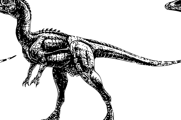 Dinosaur Illustration
