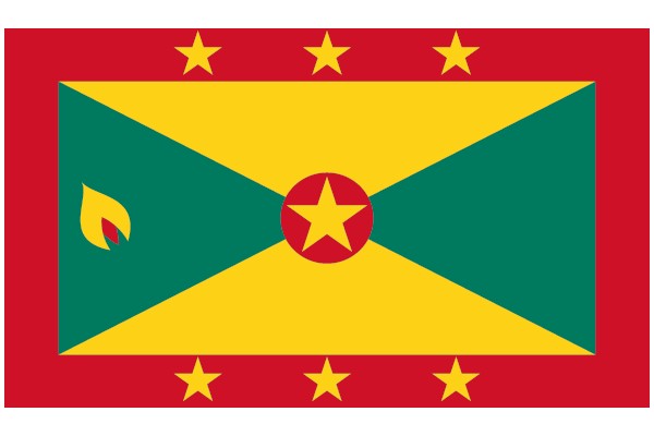 Vibrant Flag Design with a Star and a Flame