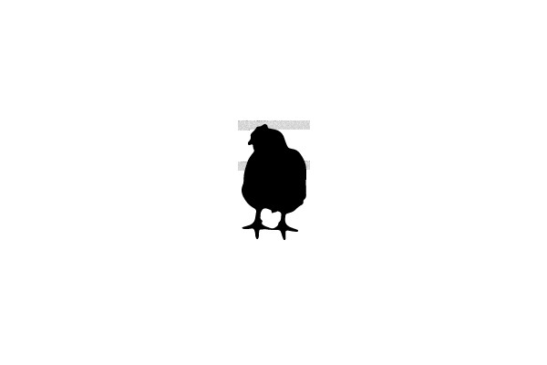 Silhouette of a Chicken