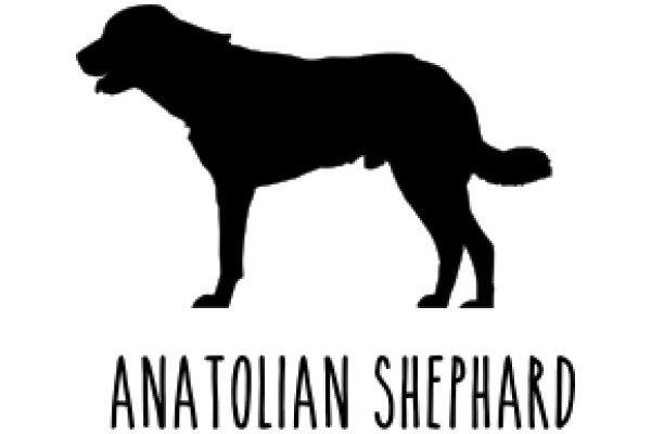 Anatolian Shepherd Silhouette