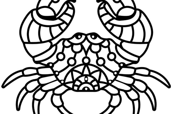 Stylized Line Drawing of a Crab with Detailed Patterns