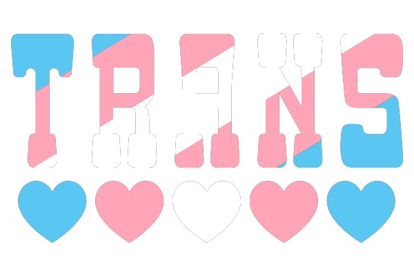 Vibrant and Colorful Transgender Pride Sticker Set