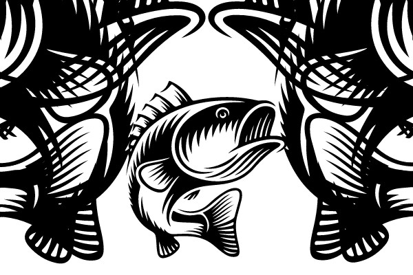 Reel Girls Fish