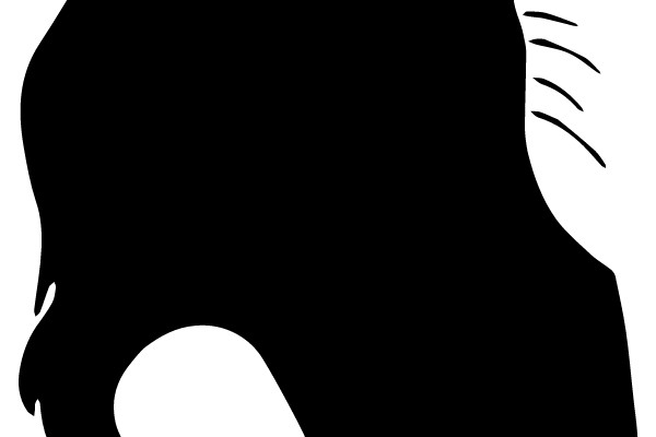 Black Silhouette of a Pigeon