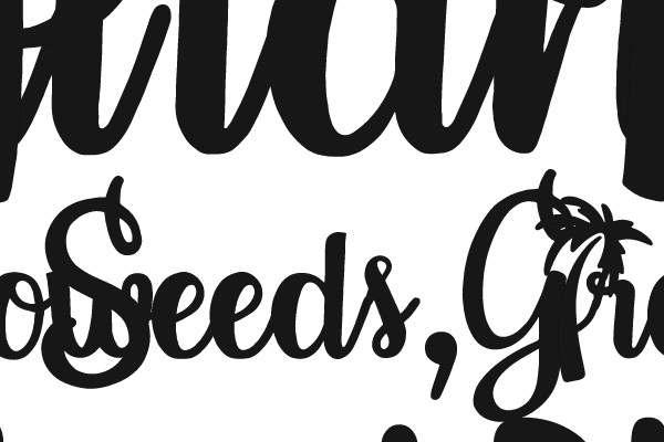 Plant Seeds, Grow Blessings