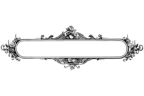 Ornate Baroque-Inspired Vintage Frame