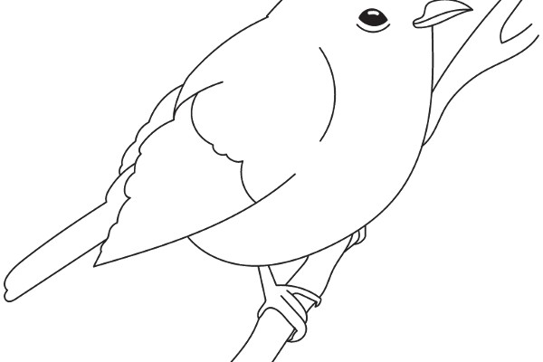 A Simple Line Drawing of a Bird