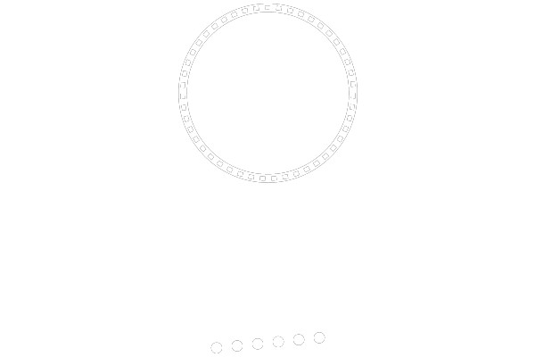 Circular Diagram with Alternating White and Black Sections.