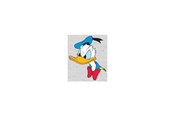 Dapper Duck in Profile