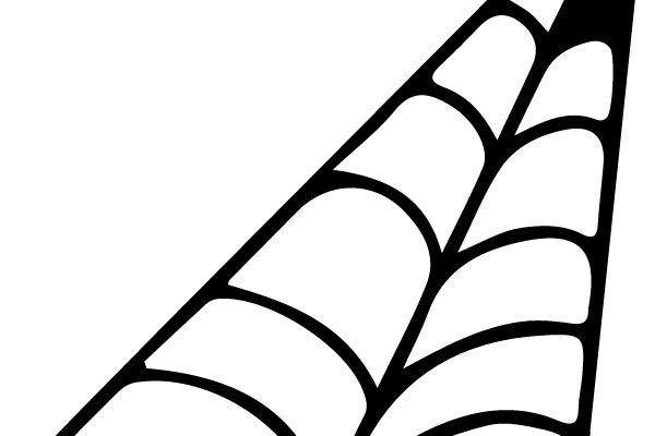 Whimsical Spider Web Line Art