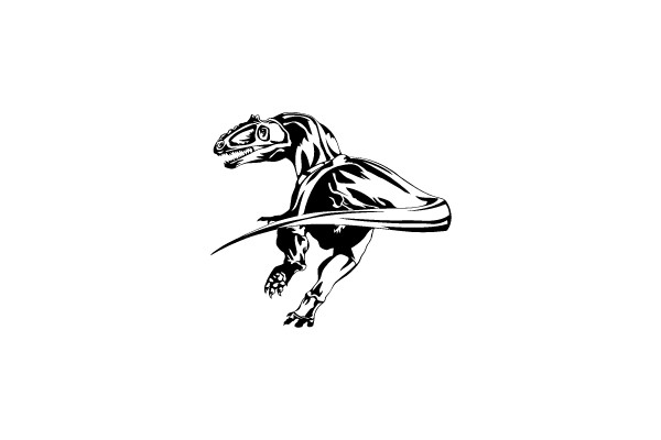 Raptor in Flight
