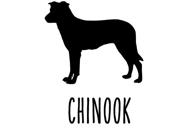 Chinook