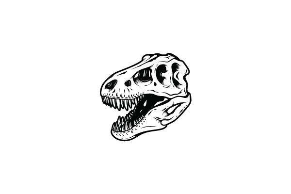 Dinosaur Skull Illustration