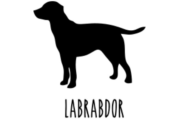 Labrador: A Silhouette of a Beloved Dog Breed