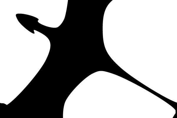 Silhouette of a Bat