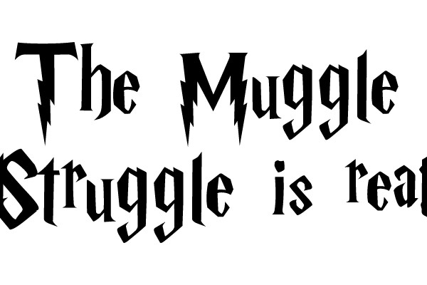 The Muggle Struggle is real