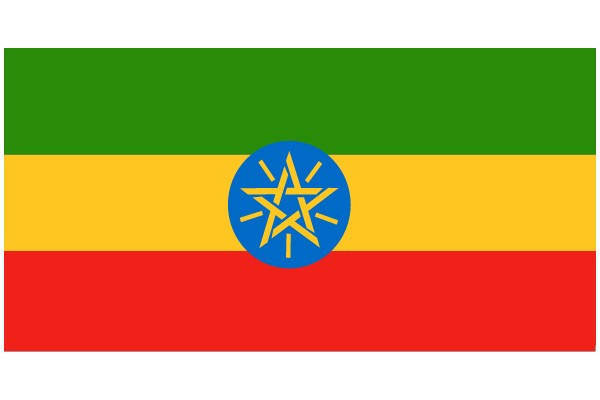 Vibrant Flag of Ukraine with a Star Symbol