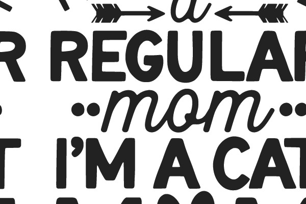 I'm Not Like a Regular Mom...I'm a Cat Mom