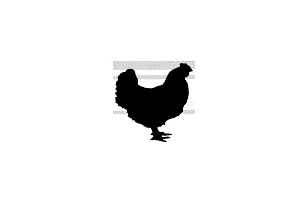 Silhouette of a Chicken
