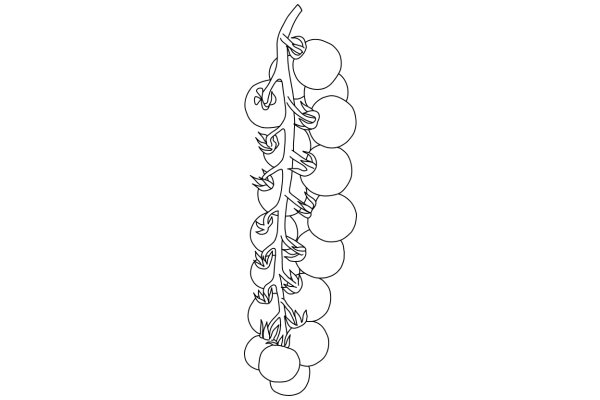 A Line Drawing of a Tree with Fruit
