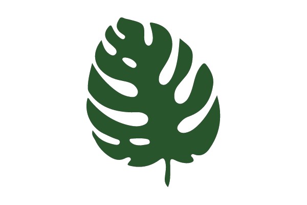 Tropical Leaf Silhouette