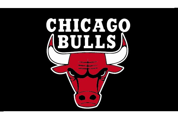 Chicago Bulls Logo