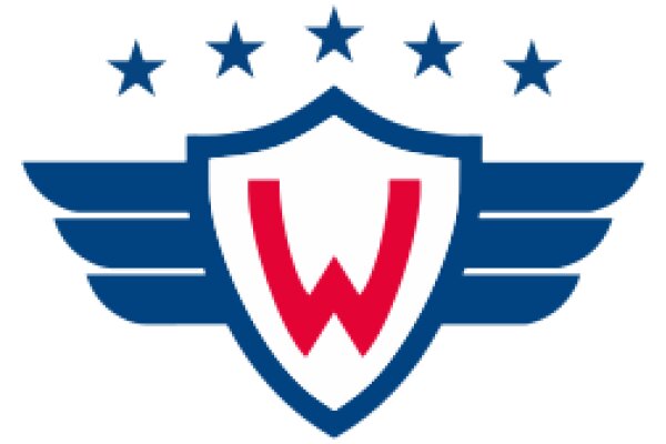 Welcome to the World of Wings: A Symbol of Protection and Freedom