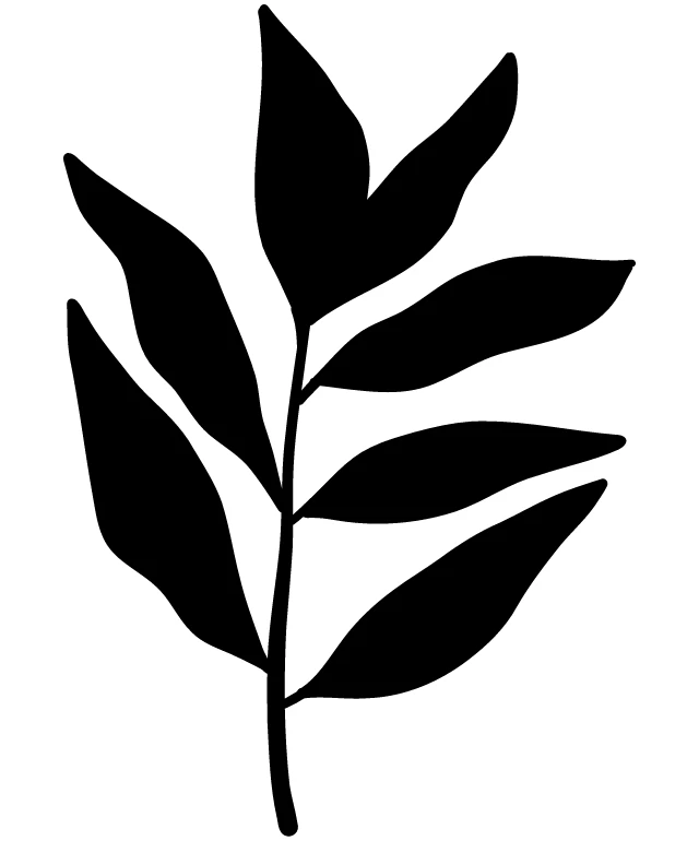 Simplistic Leaf Silhouette